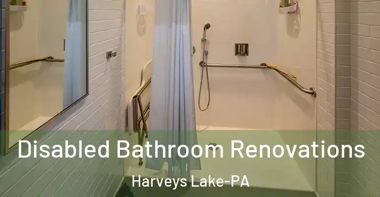 inner Bathroom imggen Disabled Bathroom Renovations Harveys Lake-PA