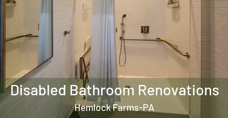 inner Bathroom imggen Disabled Bathroom Renovations Hemlock Farms-PA