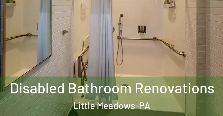 inner Bathroom imggen Disabled Bathroom Renovations Little Meadows-PA