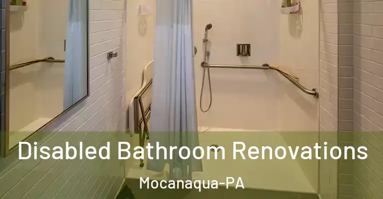 inner Bathroom imggen Disabled Bathroom Renovations Mocanaqua-PA