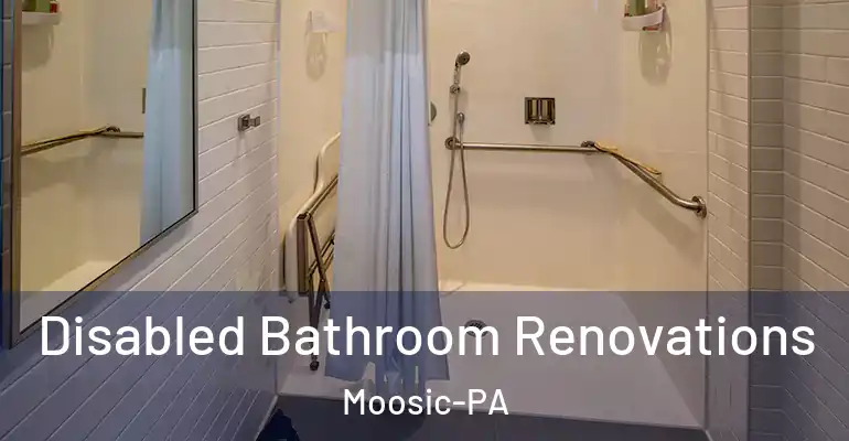 inner Bathroom imggen Disabled Bathroom Renovations Moosic-PA