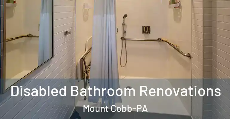 inner Bathroom imggen Disabled Bathroom Renovations Mount Cobb-PA