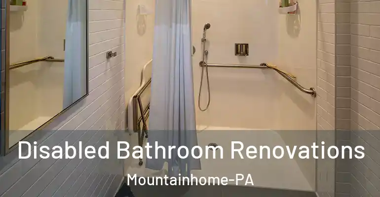 inner Bathroom imggen Disabled Bathroom Renovations Mountainhome-PA