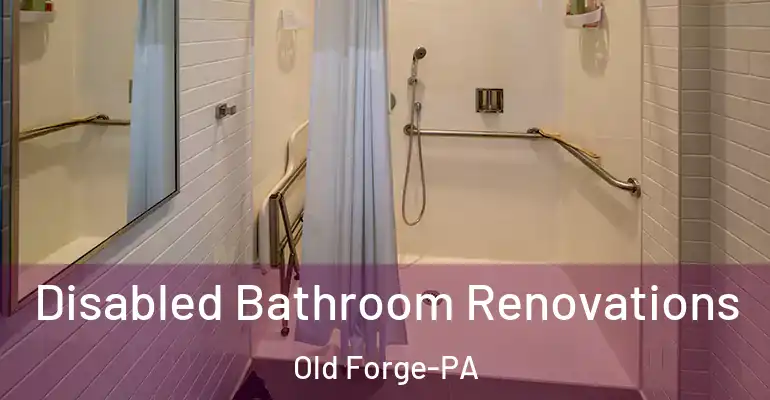 inner Bathroom imggen Disabled Bathroom Renovations Old Forge-PA