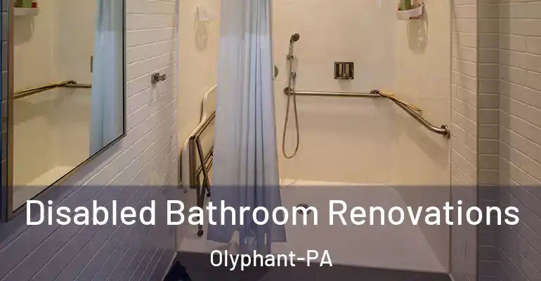 inner Bathroom imggen Disabled Bathroom Renovations Olyphant-PA