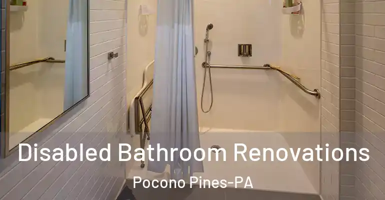 inner Bathroom imggen Disabled Bathroom Renovations Pocono Pines-PA