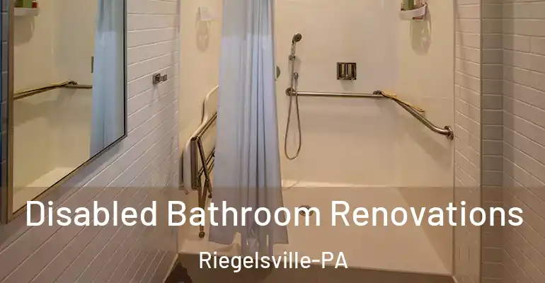 inner Bathroom imggen Disabled Bathroom Renovations Riegelsville-PA
