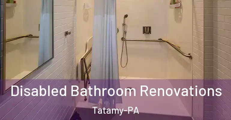 inner Bathroom imggen Disabled Bathroom Renovations Tatamy-PA