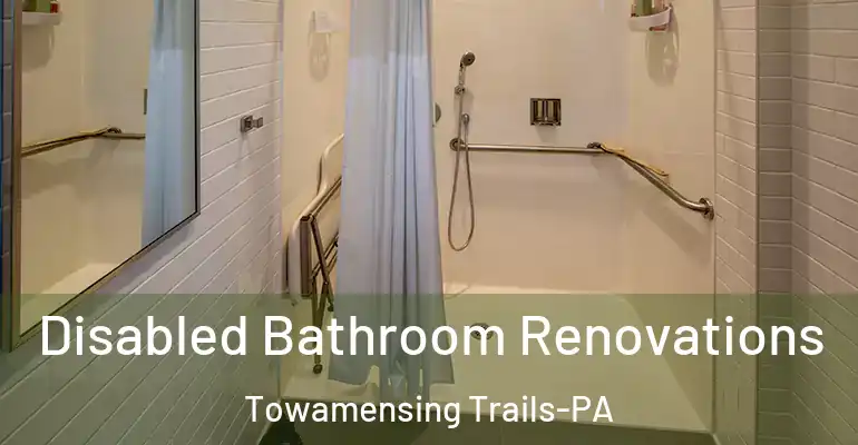 inner Bathroom imggen Disabled Bathroom Renovations Towamensing Trails-PA