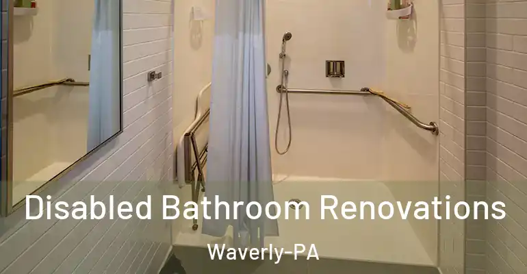 inner Bathroom imggen Disabled Bathroom Renovations Waverly-PA