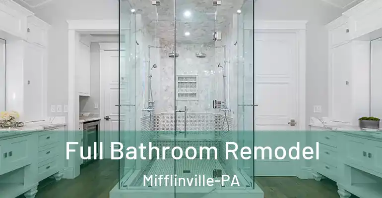 inner Bathroom imggen Full Bathroom Remodel Mifflinville-PA