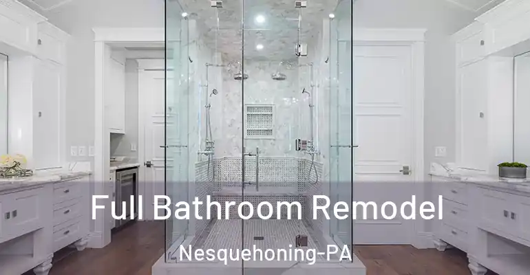 inner Bathroom imggen Full Bathroom Remodel Nesquehoning-PA