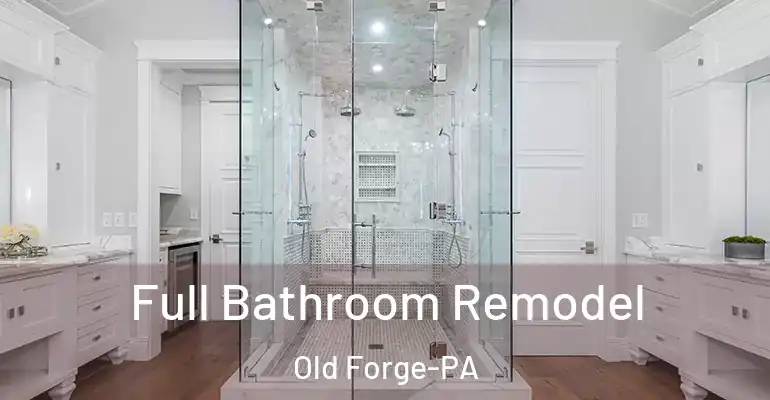 inner Bathroom imggen Full Bathroom Remodel Old Forge-PA