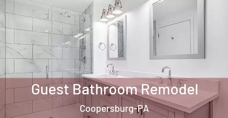 inner Bathroom imggen Guest Bathroom Remodel Coopersburg-PA