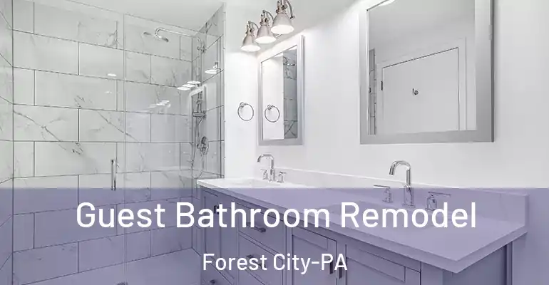 inner Bathroom imggen Guest Bathroom Remodel Forest City-PA
