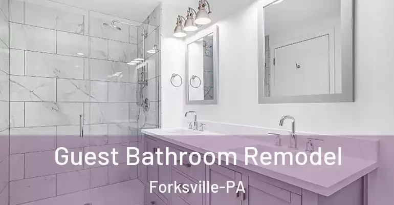 inner Bathroom imggen Guest Bathroom Remodel Forksville-PA