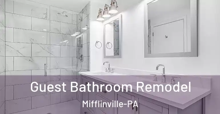 inner Bathroom imggen Guest Bathroom Remodel Mifflinville-PA