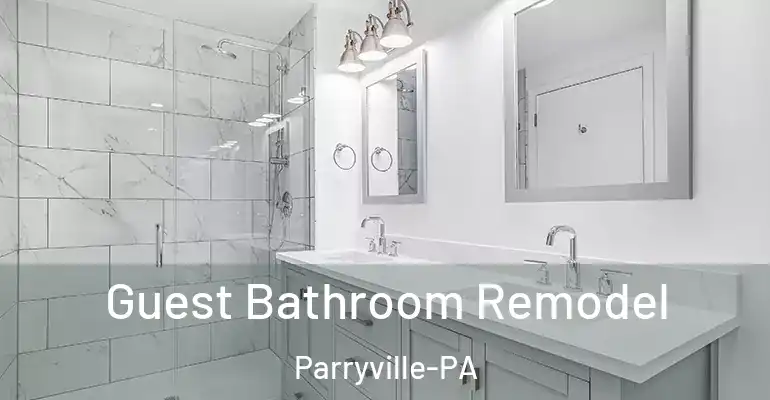 inner Bathroom imggen Guest Bathroom Remodel Parryville-PA