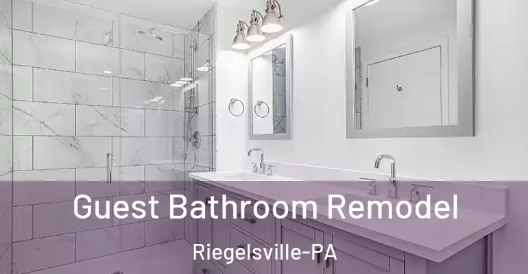 inner Bathroom imggen Guest Bathroom Remodel Riegelsville-PA