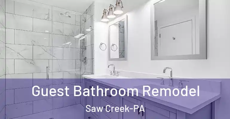 inner Bathroom imggen Guest Bathroom Remodel Saw Creek-PA