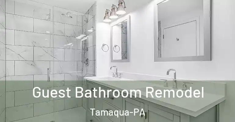 inner Bathroom imggen Guest Bathroom Remodel Tamaqua-PA