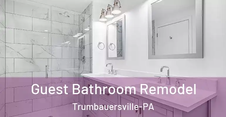 inner Bathroom imggen Guest Bathroom Remodel Trumbauersville-PA