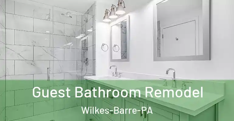inner Bathroom imggen Guest Bathroom Remodel Wilkes-Barre-PA