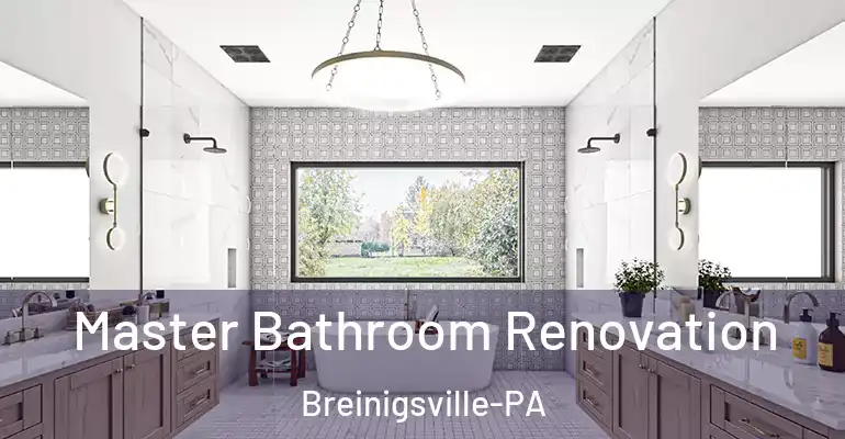 inner Bathroom imggen Master Bathroom Renovation Breinigsville-PA