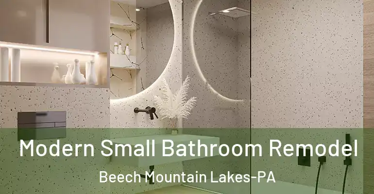 inner Bathroom imggen Modern Small Bathroom Remodel Beech Mountain Lakes-PA