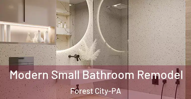 inner Bathroom imggen Modern Small Bathroom Remodel Forest City-PA