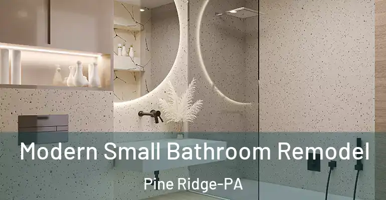 inner Bathroom imggen Modern Small Bathroom Remodel Pine Ridge-PA