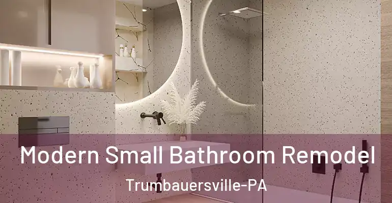 inner Bathroom imggen Modern Small Bathroom Remodel Trumbauersville-PA