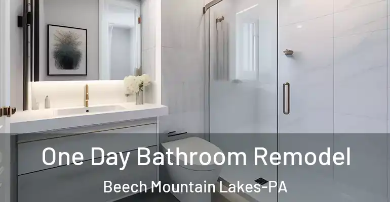 inner Bathroom imggen One Day Bathroom Remodel Beech Mountain Lakes-PA