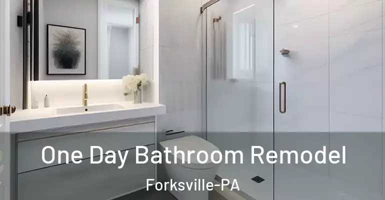 inner Bathroom imggen One Day Bathroom Remodel Forksville-PA
