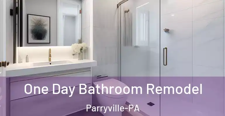 inner Bathroom imggen One Day Bathroom Remodel Parryville-PA