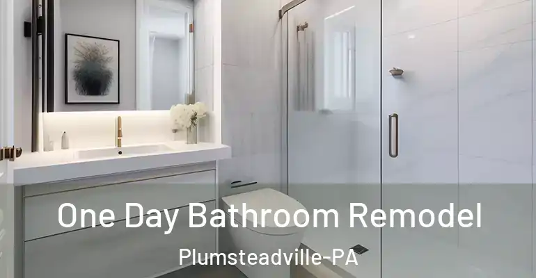 inner Bathroom imggen One Day Bathroom Remodel Plumsteadville-PA