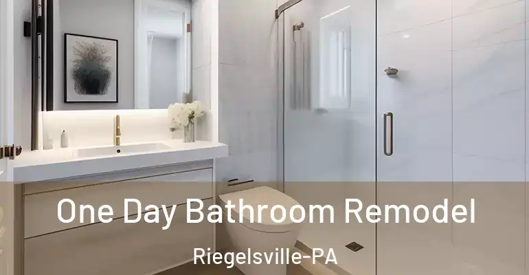 inner Bathroom imggen One Day Bathroom Remodel Riegelsville-PA