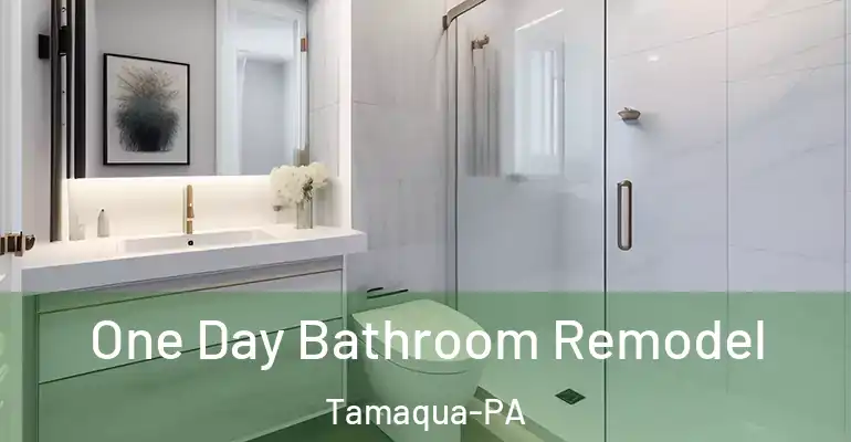 inner Bathroom imggen One Day Bathroom Remodel Tamaqua-PA