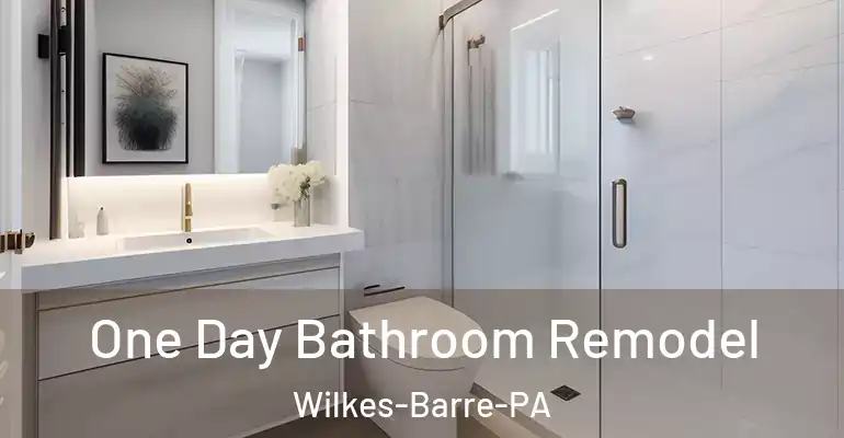 inner Bathroom imggen One Day Bathroom Remodel Wilkes-Barre-PA