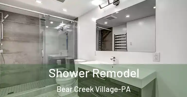 inner Bathroom imggen Shower Remodel Bear Creek Village-PA