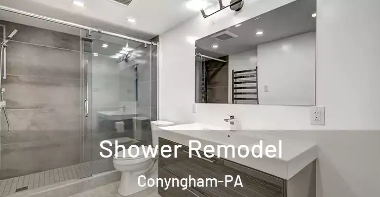 inner Bathroom imggen Shower Remodel Conyngham-PA