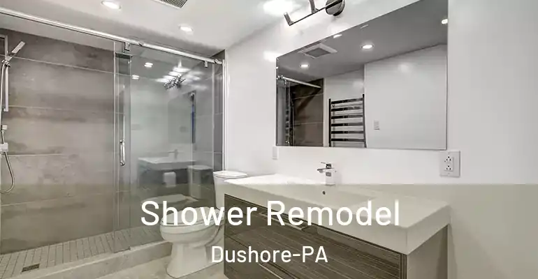 inner Bathroom imggen Shower Remodel Dushore-PA