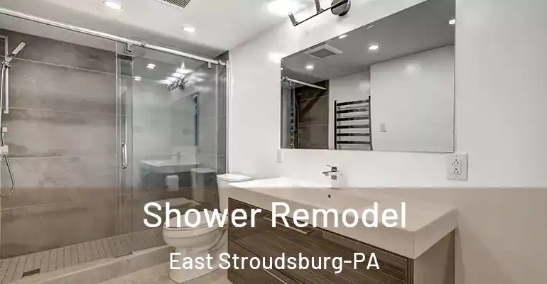 inner Bathroom imggen Shower Remodel East Stroudsburg-PA