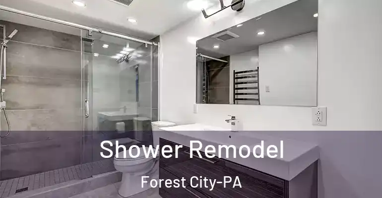 inner Bathroom imggen Shower Remodel Forest City-PA