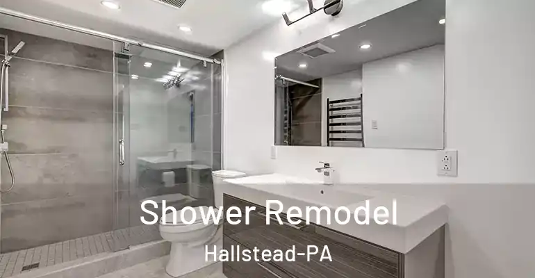 inner Bathroom imggen Shower Remodel Hallstead-PA