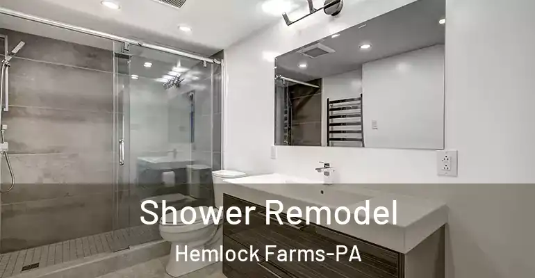 inner Bathroom imggen Shower Remodel Hemlock Farms-PA