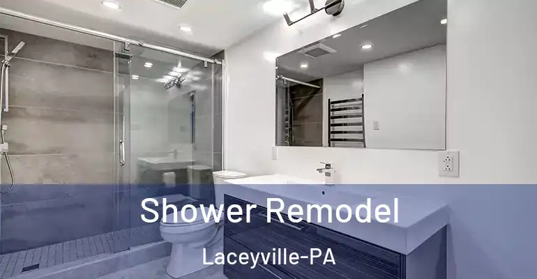 inner Bathroom imggen Shower Remodel Laceyville-PA