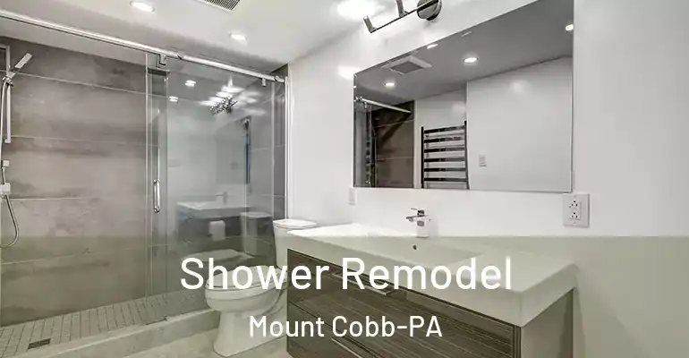 inner Bathroom imggen Shower Remodel Mount Cobb-PA