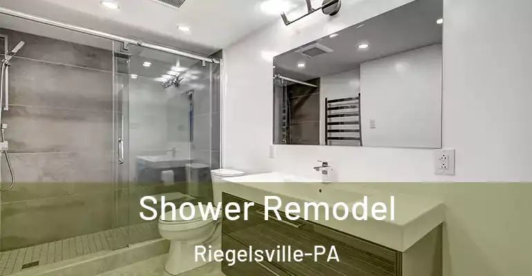 inner Bathroom imggen Shower Remodel Riegelsville-PA