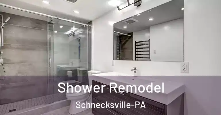 inner Bathroom imggen Shower Remodel Schnecksville-PA
